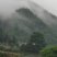 海拔800米以上高山纯野生苦笋2021年版
