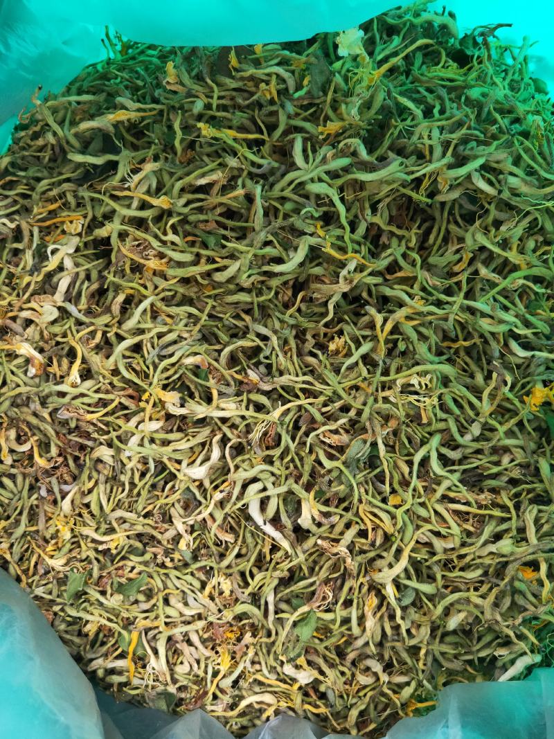 四季树形大毛花，干花现在市场80一斤左右，高产高含量品种