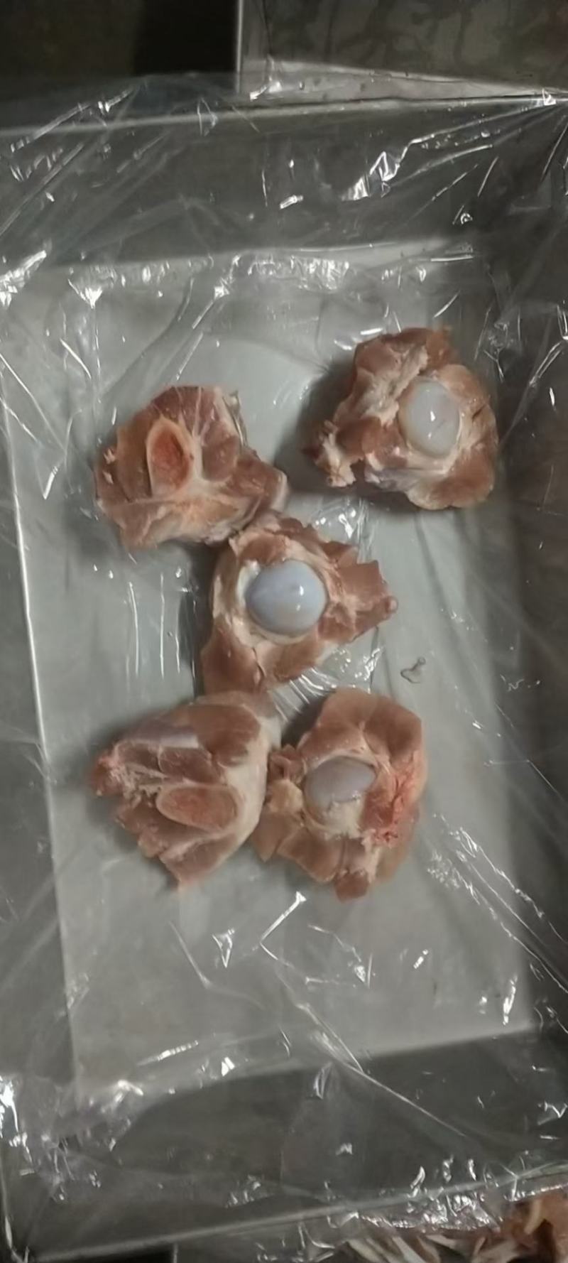 前肉骨，肉前骨，球骨，多肉前腿骨，半截前腿骨，自助餐专用