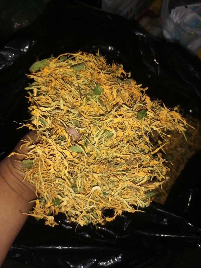 漯河百亩金银花持续采摘产新有需要的联系
