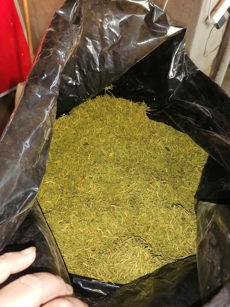 漯河百亩金银花持续采摘产新有需要的联系