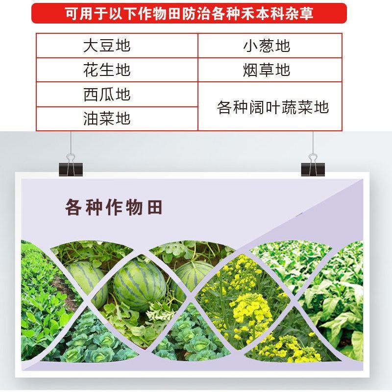 美丰金盖10%精喹禾灵一年生禾本科杂草20毫升除草剂