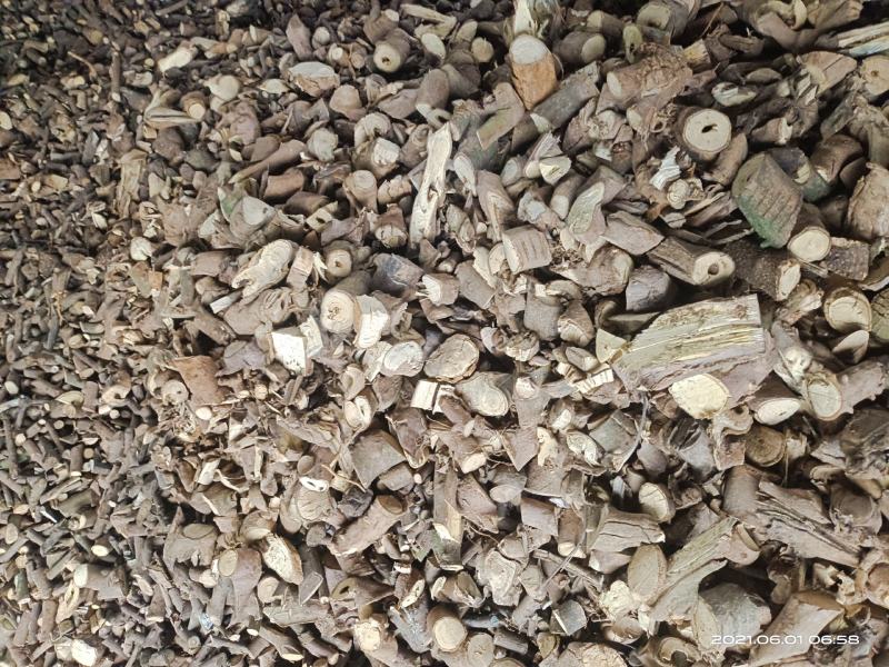 【大量供应】广西百色两面针入地金牛根部/阳枝切段批发