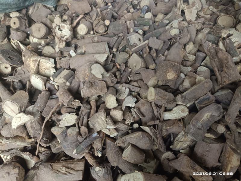 【大量供应】广西百色两面针入地金牛根部/阳枝切段批发