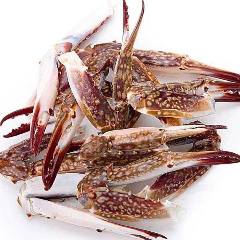 单体新鲜速冻梭子蟹退，沙蟹腿，保证货物质量