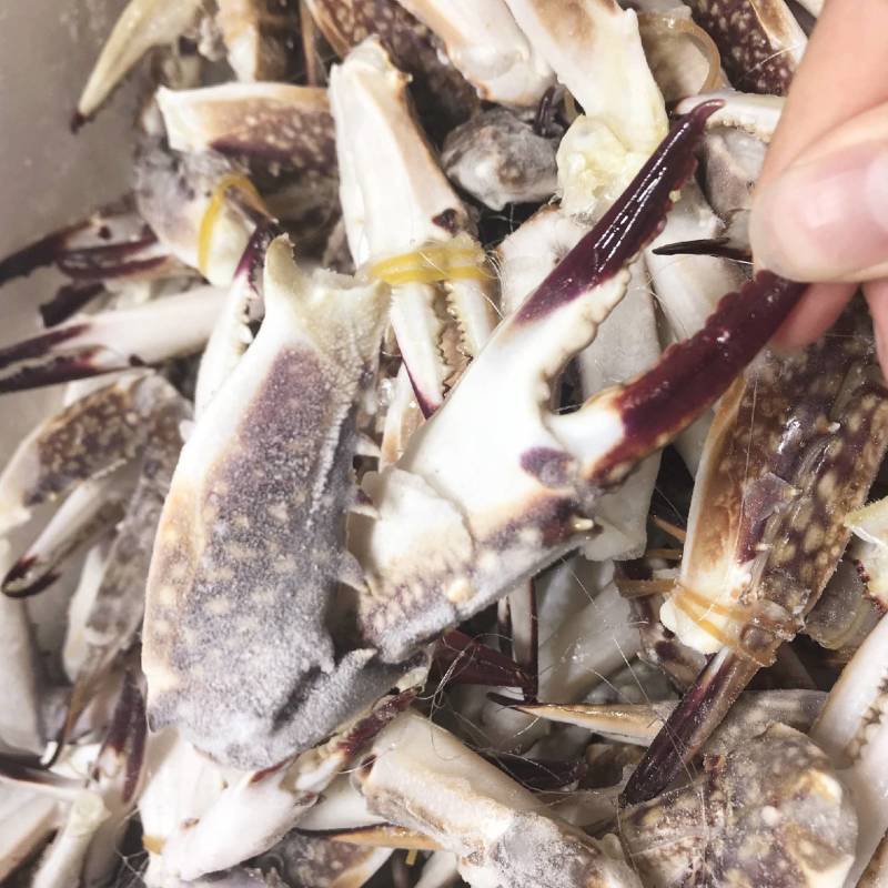 单体新鲜速冻梭子蟹退，沙蟹腿，保证货物质量