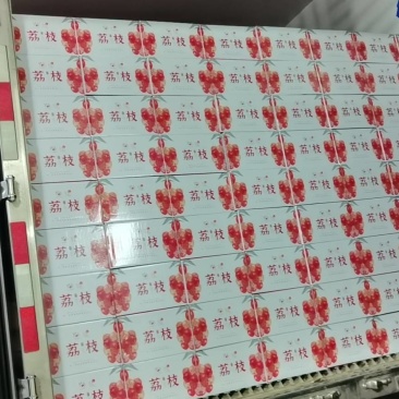 桂味荔枝电商件！！