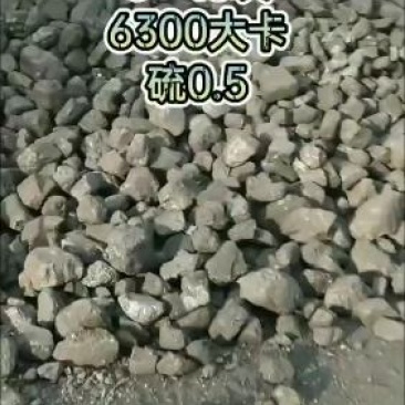 煤炭批发神木煤。神木6500卡煤炭。无石头无面。全国批发