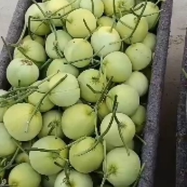 大量有货