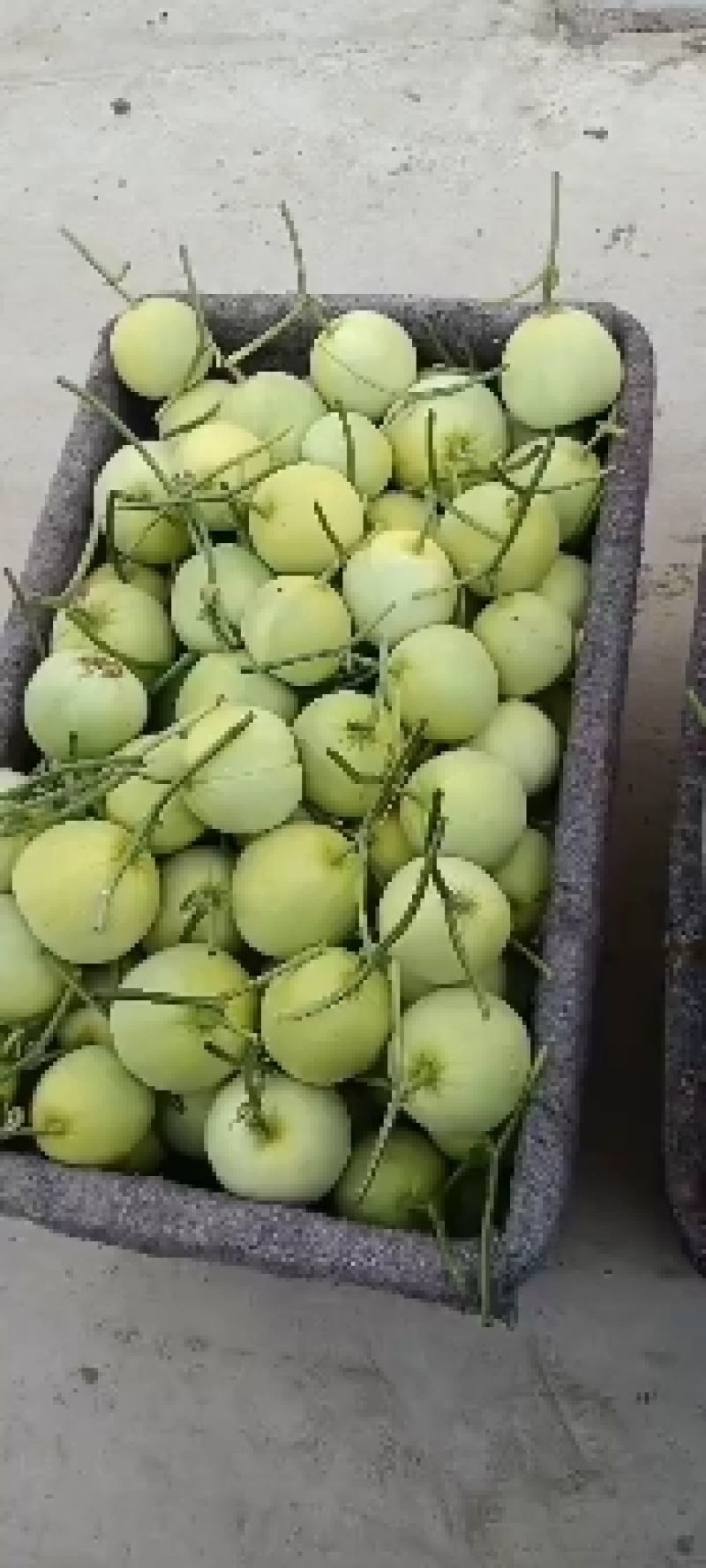 大量有货