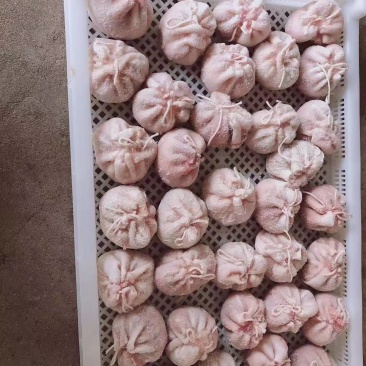 肚包肉