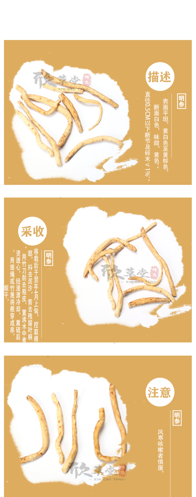 明党参,川明参，土人参,百丈光,天瓠,粉沙参,红党参,金