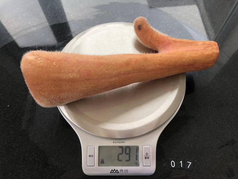 梅花鹿鲜鹿茸整支，头茬二杠精品鹿茸，泡酒煮粥煲汤炖鸡
