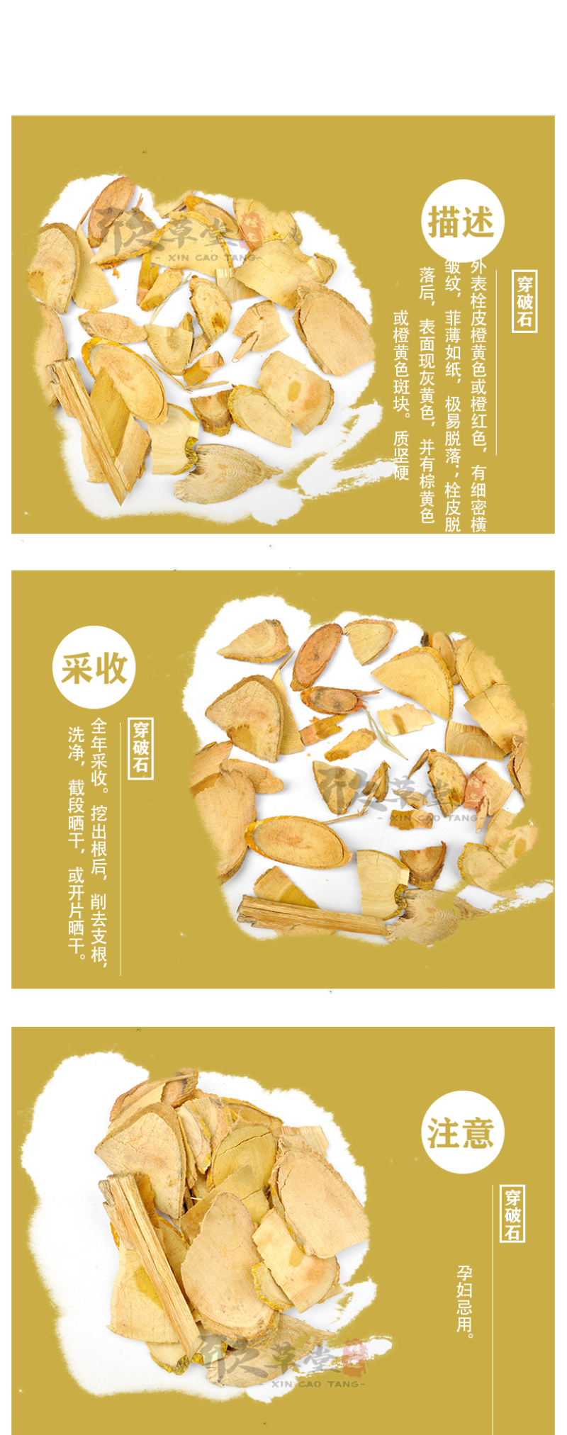 穿破石，柘根,川破石,地棉根,拉牛入石,柘藤根,黄蛇,山