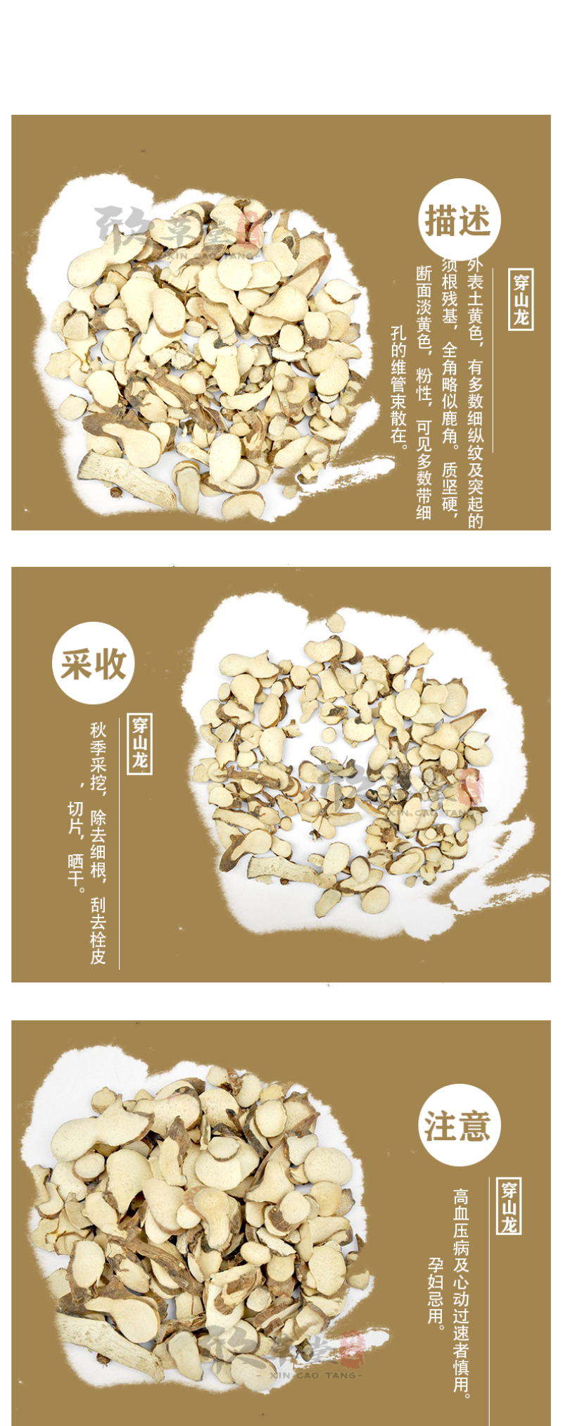 穿山龙，穿龙骨,穿地龙,狗山药,山常山,穿山骨,火藤根,