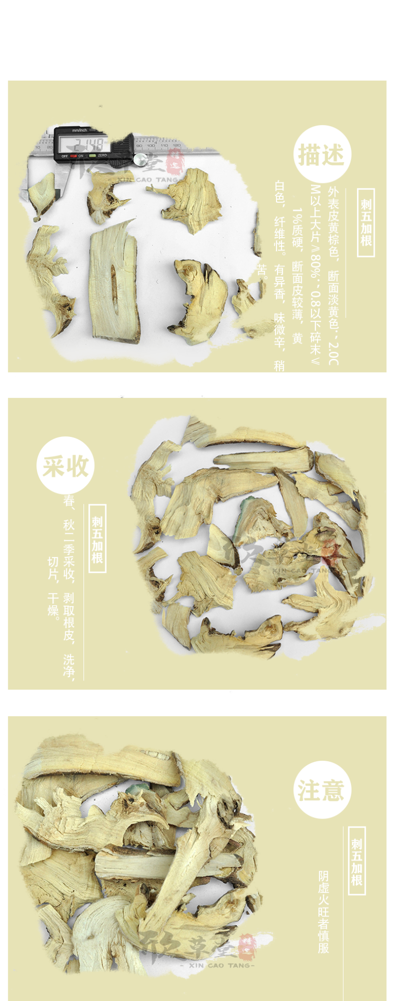 刺五加根（刺拐棒、老虎镣子、刺木棒、坎拐棒子）