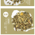 刺五加皮（红毛刺五加皮）1000g起售