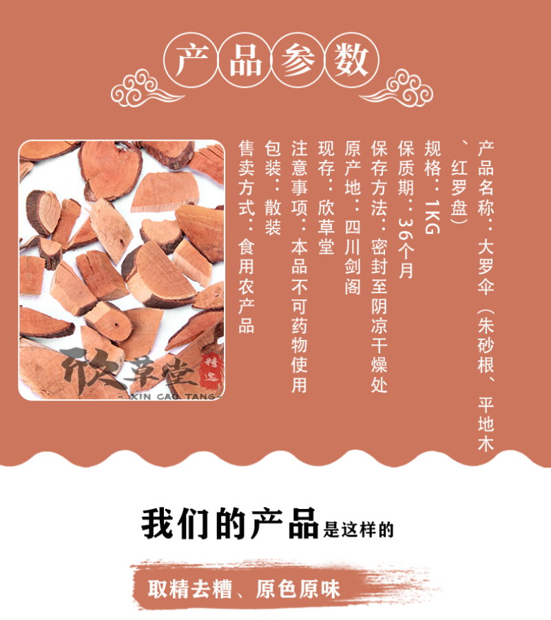 大罗伞（朱砂根、平地木、红罗盘）