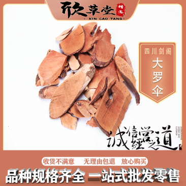 大罗伞（朱砂根、平地木、红罗盘）