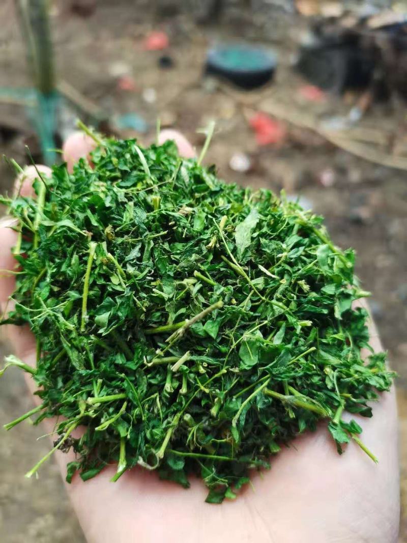 中药材