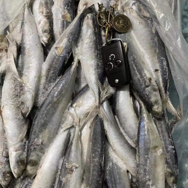 竹叶巴浪，又叫四破鱼！
