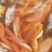 【锦鲤鱼苗】日本锦鲤鱼苗/大正/昭和/红白/蝴蝶寸苗水花