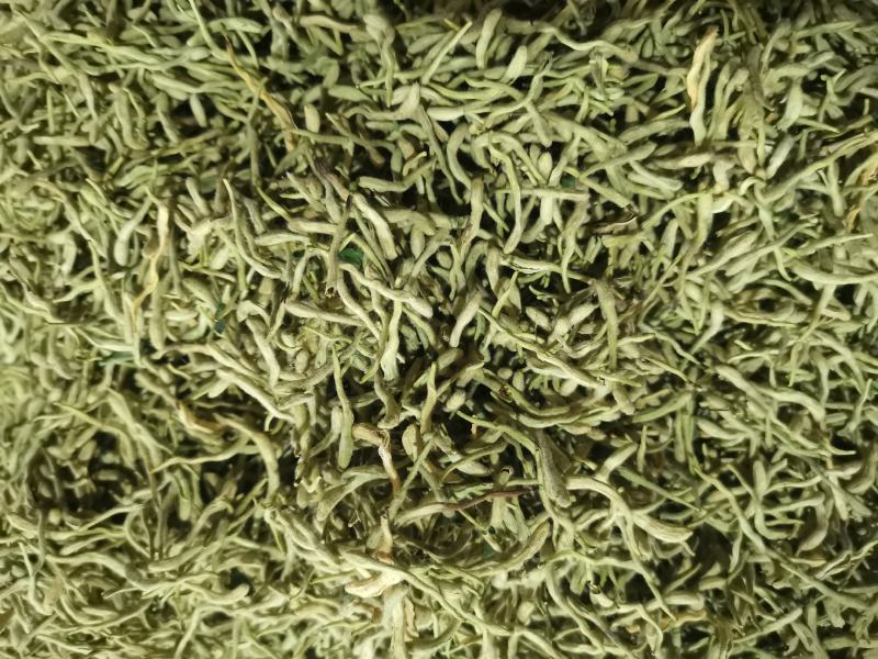 金银花颜色绿1公斤起批河南无硫***包邮