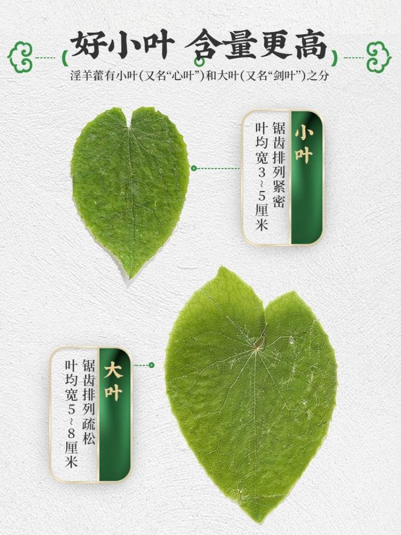 【荐】淫羊藿野生小叶森林自然晾晒生长对接全国量大价优