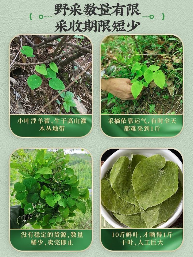【荐】淫羊藿野生小叶森林自然晾晒生长对接全国量大价优