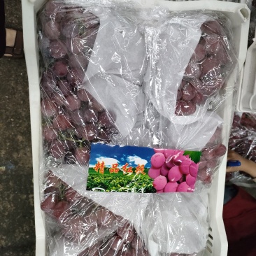 各种水果代卖代销沙糖桔沃柑黑提等等有需要的联系我