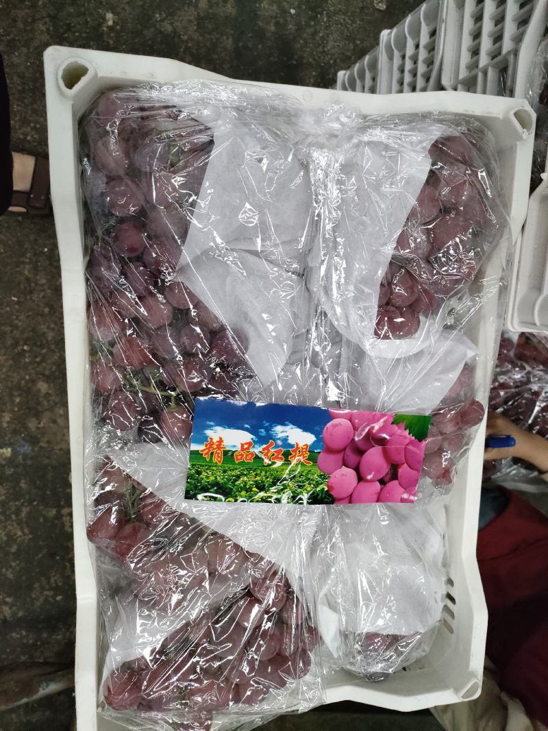 各种水果代卖代销沙糖桔沃柑黑提等等有需要的联系我