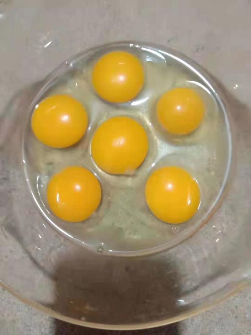 一手货源自家养殖货量大承接餐饮加工批发直播带货商超