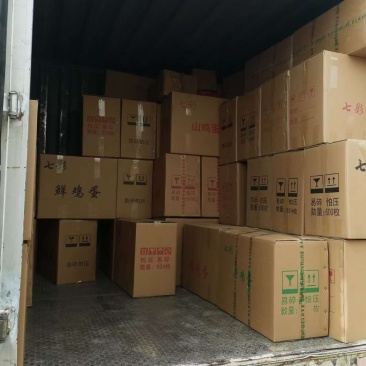 一手货源自家养殖货量大承接餐饮加工批发直播带货商超