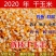 【荐】玉米14~16%饲料玉米产地直销预订中饲料玉米
