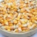【荐】玉米14~16%饲料玉米产地直销预订中饲料玉米