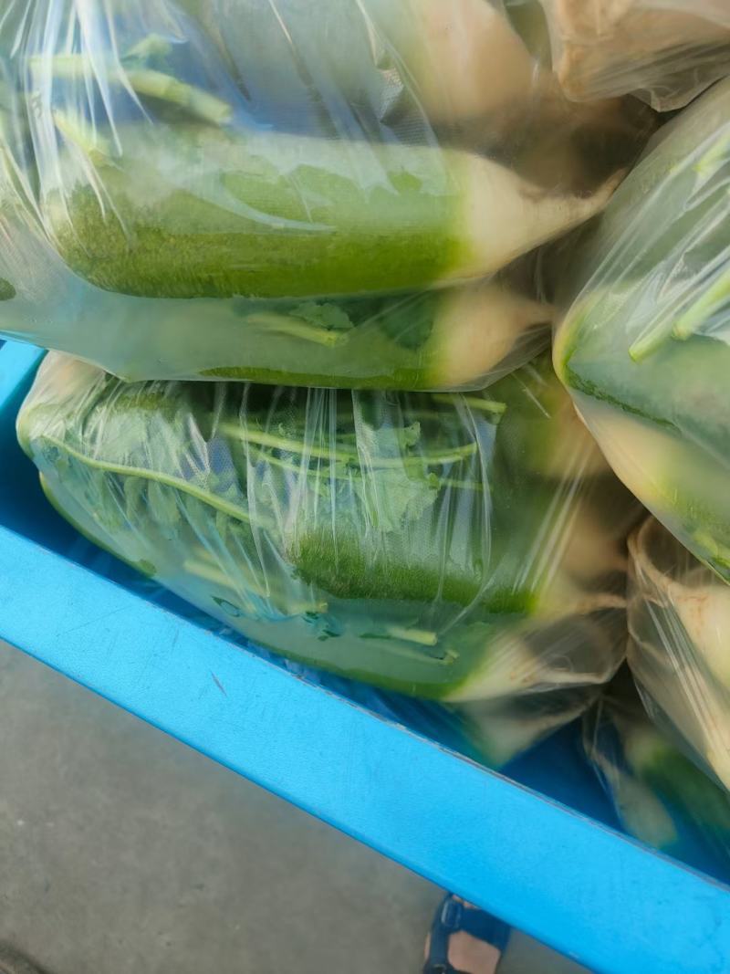 各种蔬菜。需要的请与我联系