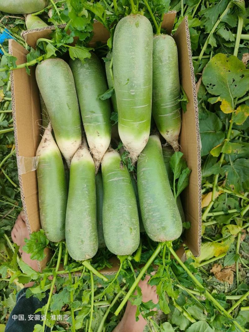各种蔬菜。需要的请与我联系