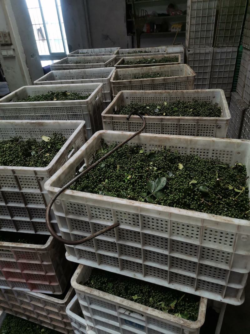 花椒籽（九叶青花椒籽）数量多、价格优、品质好。