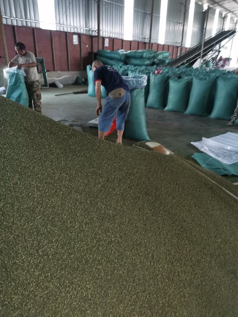 花椒籽（九叶青花椒籽）数量多、价格优、品质好。