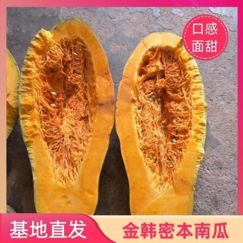 湖北加鱼早熟南瓜上市了，有需要的联系我