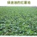 红薯粉淀粉地瓜粉安徽农家纯手工红薯粉淀粉食用红苕粉山芋番