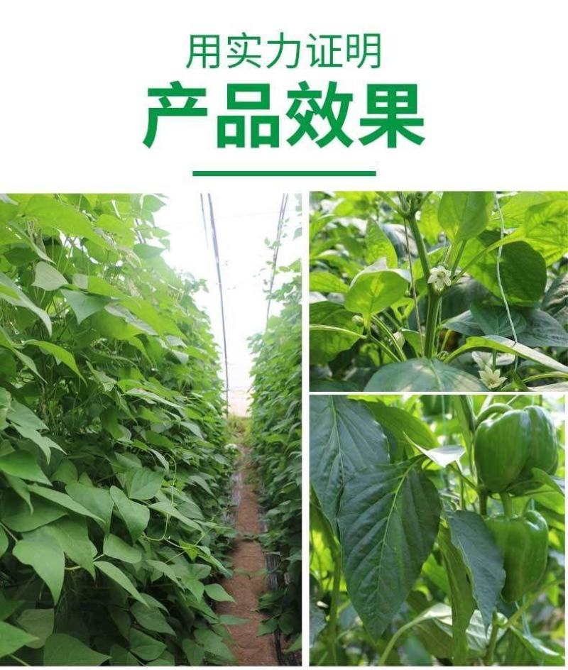 氨基酸叶面肥培肥地力膨果防裂松土生根增糖着色