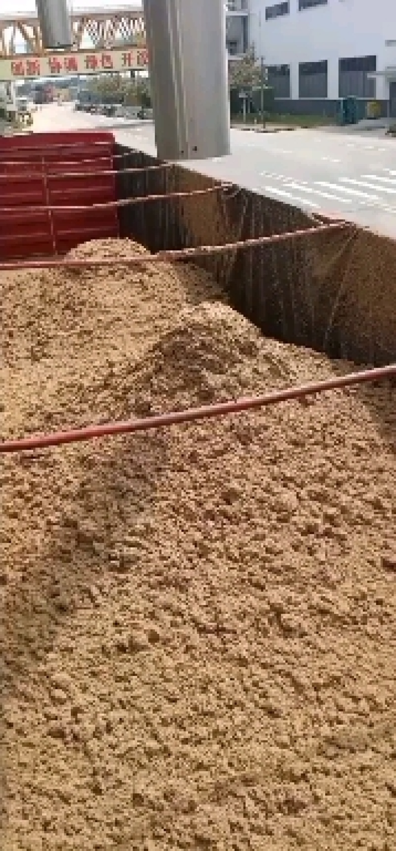 广州珠江啤酒大量供应啤酒糟，营养好，易吸收，牛羊好饲料！