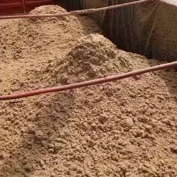广州珠江啤酒大量供应啤酒糟，营养好，易吸收，牛羊好饲料！