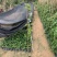 爬山虎爬墙虎爬藤植物适合庭院围墙绿化