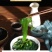 裙带菜鲜嫩海带，x音、快x网红热卖！！海白菜裙带菜螺旋藻