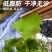 裙带菜鲜嫩海带，x音、快x网红热卖！！海白菜裙带菜螺旋藻