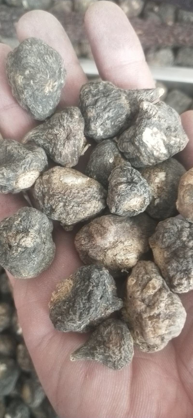 青海格尔木交易市场