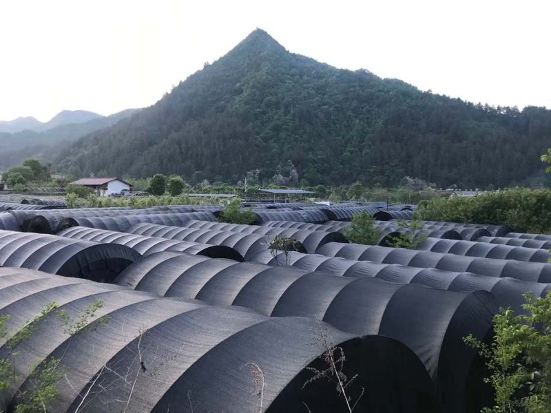 推荐【干香菇产地批发】精选各规格大中小优质秋冬厚菇香味浓