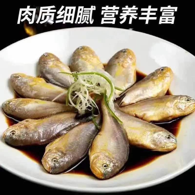 小黄花鱼新鲜冷冻黄鱼舟山小黄鱼海鲜一件代发，包邮包售后